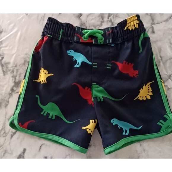 Wonder Nation Boy Infant Baby 3-6M Swim Trunk/Swimsuit Colorful Dinosaurs Pocket - Picture 1 of 6